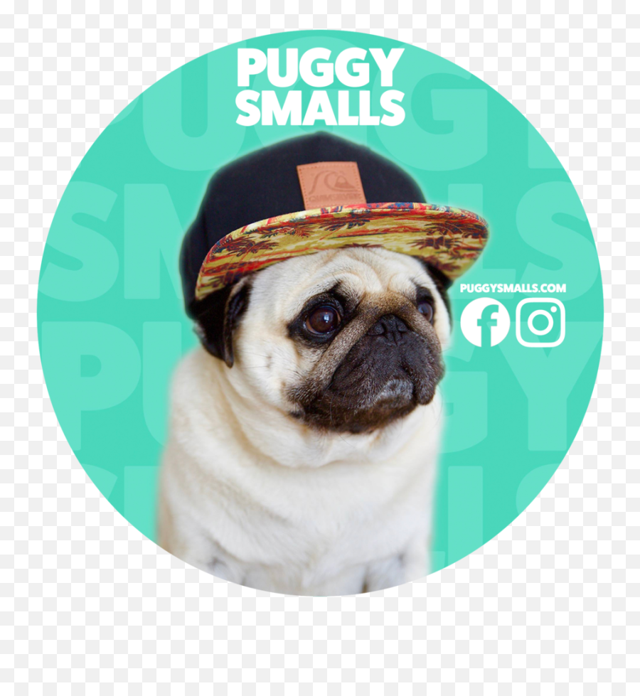 Puggy Smalls Official Sticker Pack Of 5 U2014 - Puggy Smalls Png,Pug Face Png
