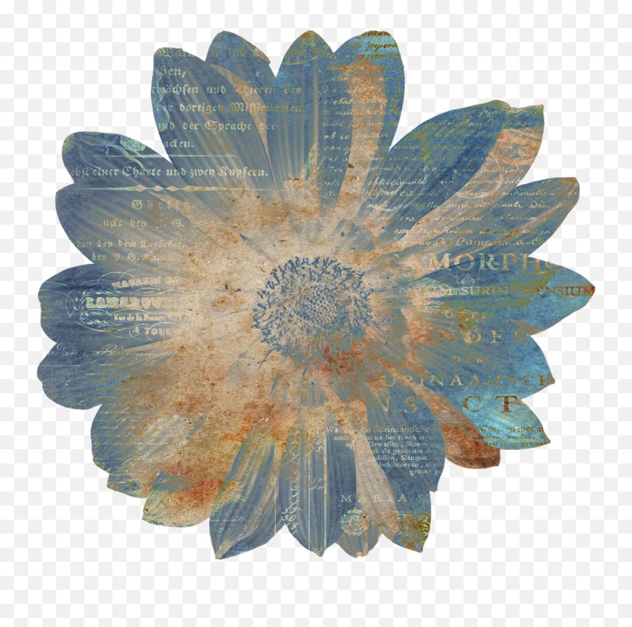 Flower Vintage Ephemera - Vintage Paper Flower Png,Flower Overlay Png