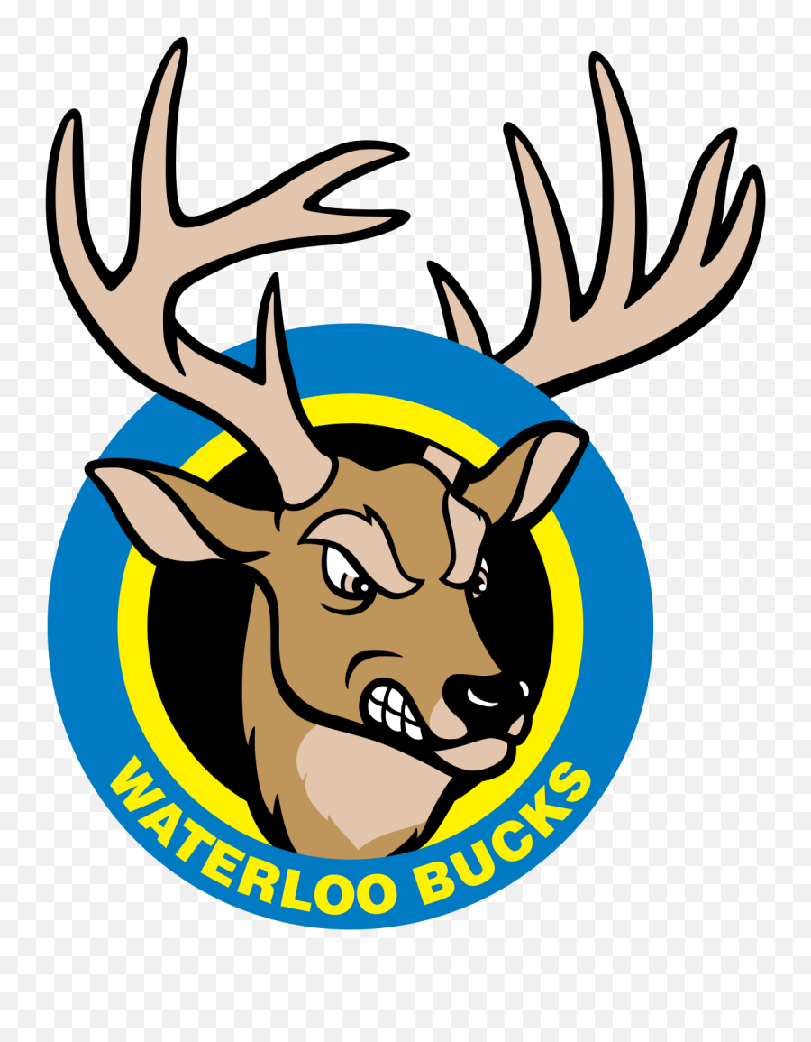 Waterloo Bucks - Waterloo Bucks Baseball Logo Png,Bucks Logo Png