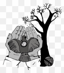 Download Hd Mockingbird Drawing - Kill A Mockingbird Png,Mockingbird Png