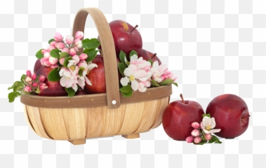 Apple Png Free Commercial Use Image - Happy Persian New Year 1399,Free Png Images For Commercial Use