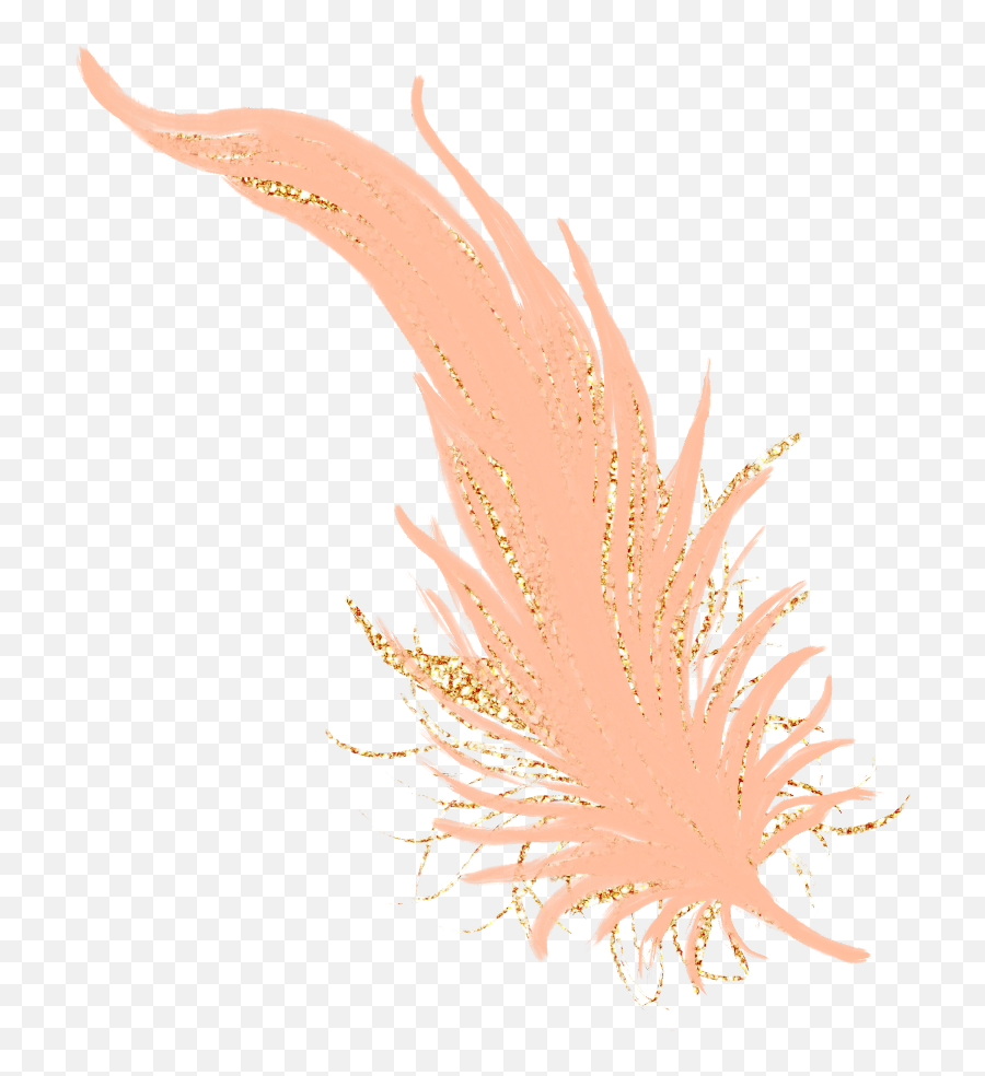 Download Feathers Feather Pastel Golden Gold Rosegold - Feather Rose Gold Png,Biology Png