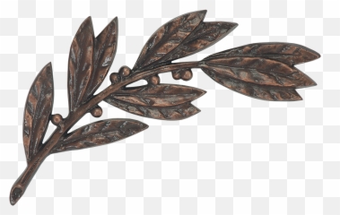 Download Laurel Branch - Gambel Oak png