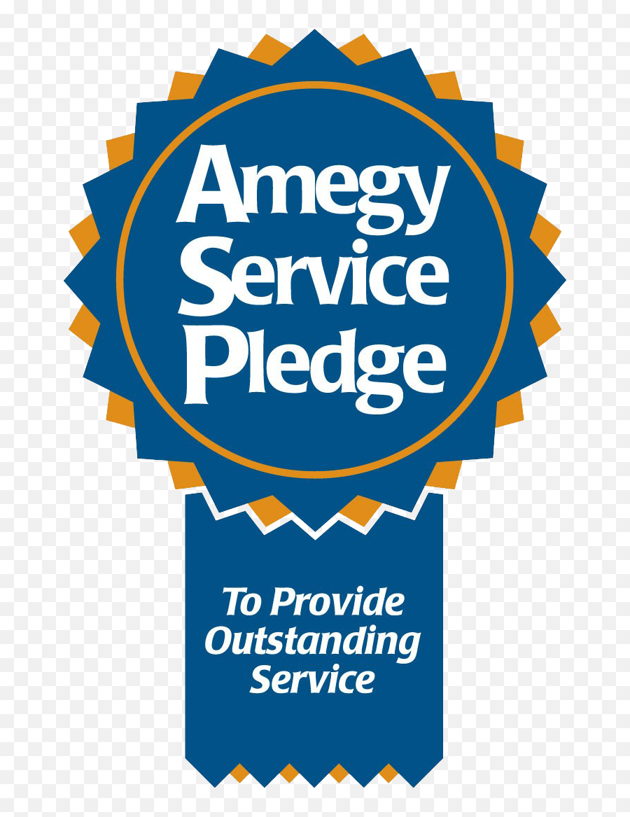 Amegy - Servicepledgeribbonpng 8541243 Pledge King Amegy Bank Of Texas,Burger King Logo Font