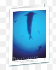 Whale Shark Greeting Card - Common Bottlenose Dolphin Png,Whale Shark Png