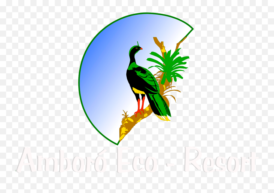 Cristo Redentor Png - Www Amboroecoresort Com Toucan Language,Toucan Png