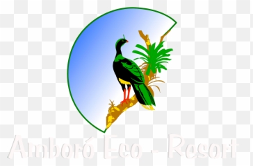 Cristo Redentor Png - Www Amboroecoresort Com Toucan Language,Toucan Png