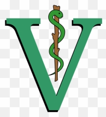 Veterinarian Symbol Png 9 Image - Veterinarian Symbol Png,Veterinarian Png