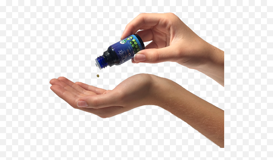 Wildcrafted Essential Oils - Essential Oil On Hands Png,Essential Oils Png