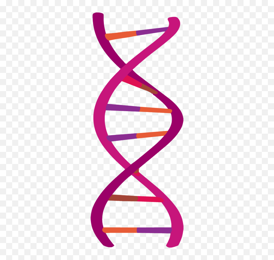 Dna - Vertical Png,Dna Transparent