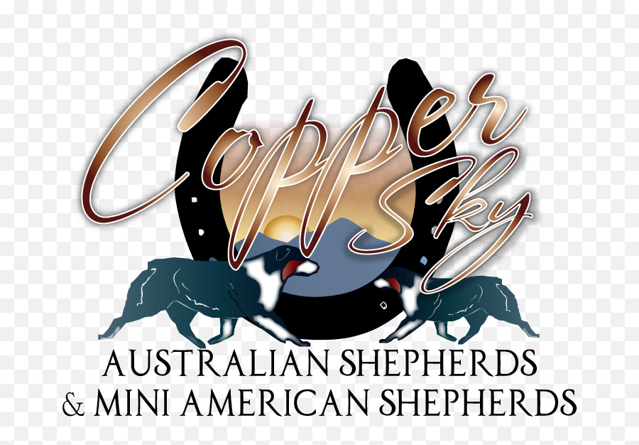 Australian Shepherd - Language Png,Australian Shepherd Icon
