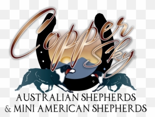 Australian Shepherd - Language Png,Australian Shepherd Icon