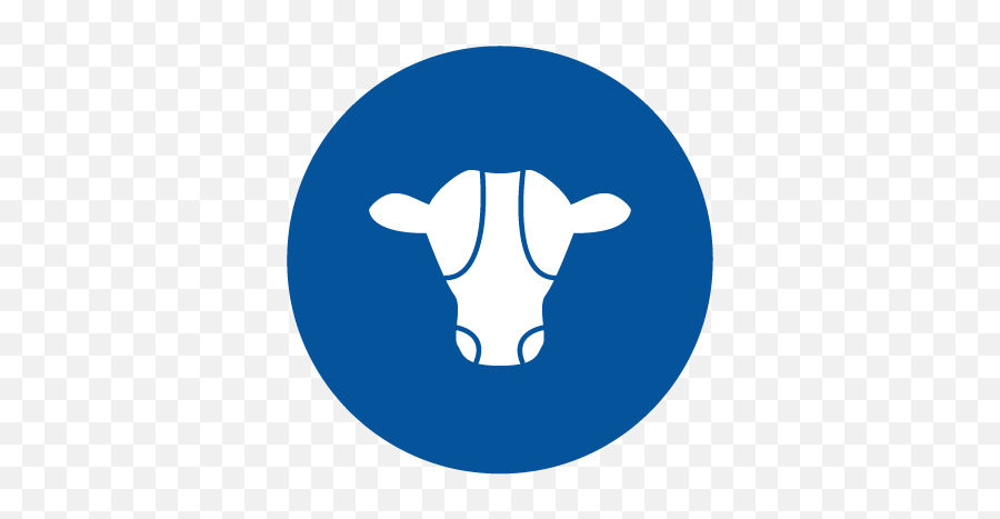 Committed To Low Carbon Dairying Nzmpcom - Cow Png,Cow Head Icon