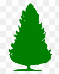 Green Tree 64 Icon - Free green icons Black Tree Icon Transparent png