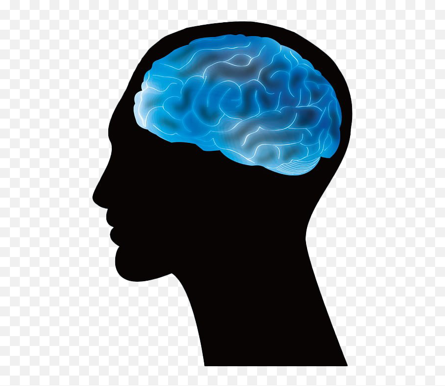 Blue Brain Png Photo Arts - Head Brain Png,Human Brain Png