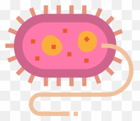 Free Icon Bacteria Png