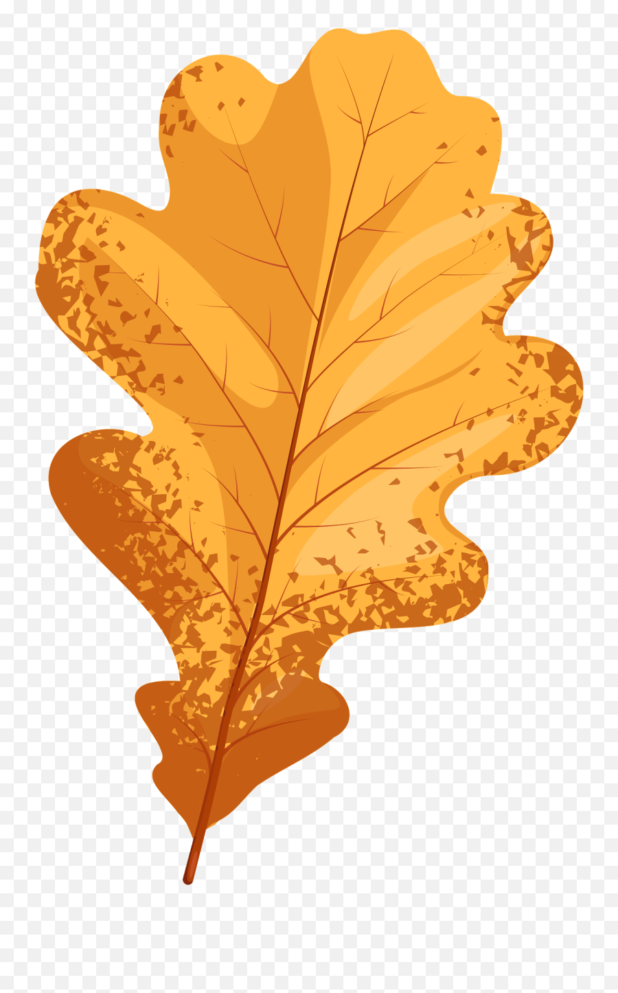 English Oak Late Autumn Leaf Clipart Free Download - Autumn Oak Leaf Clipart Png,Oak Leaf Icon