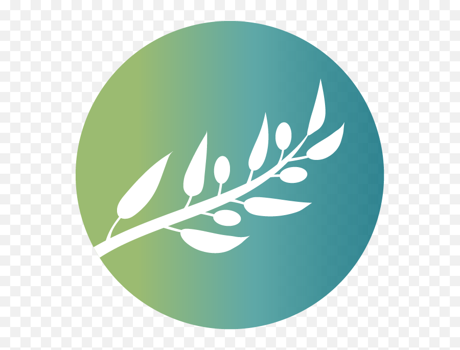 Community Engagement Campaign U2014 Eastside Jewish Commons Png Olive Leaf Icon