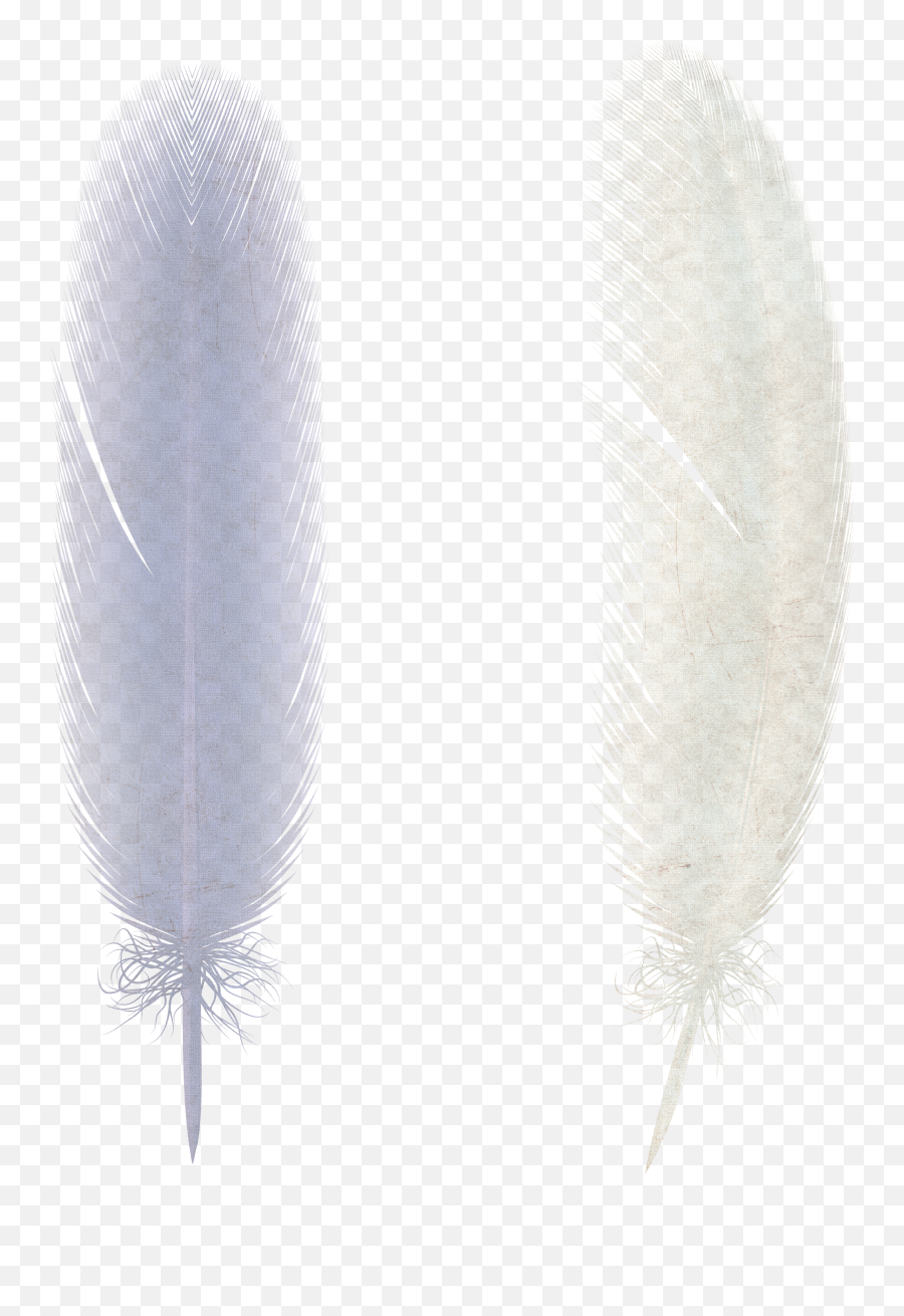 Feather Png - Earrings,Feather Transparent Background
