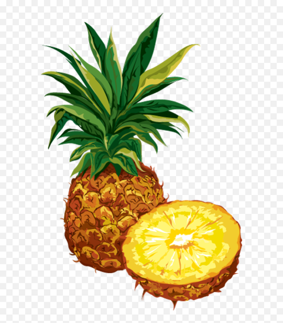Pineapple Clip Art Free Clipart Images 2 - Pineapple Pineapple Clip Art Png,Pineapple Clipart Png