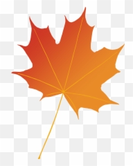 Maple Leaf Photography Illustration Png