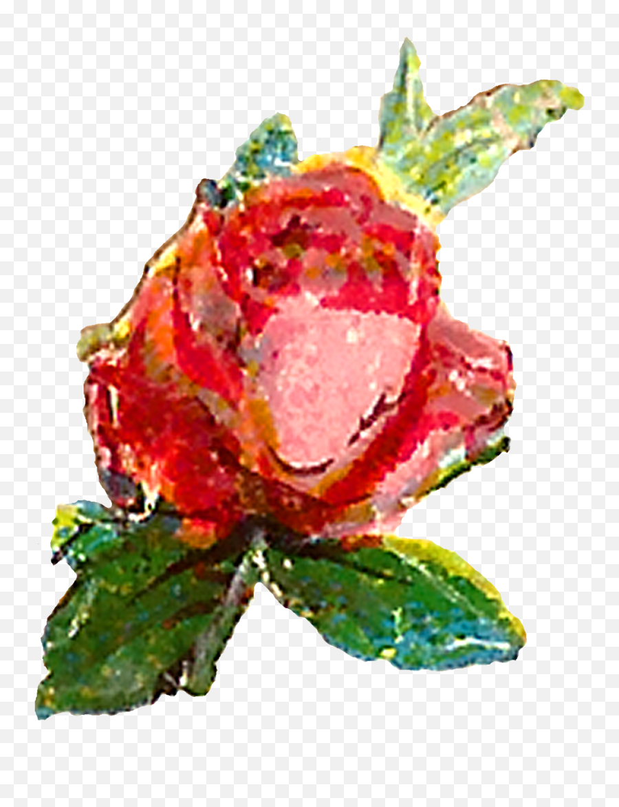 Download Hd The First Pink Rose Clip Art Is Of A Single - Rose Single Flower Clip Art Png,Single Flower Png