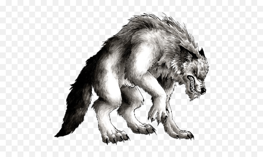 Werewolf Drawing Transparent Png - Werewolf Drawing,Werewolf Transparent