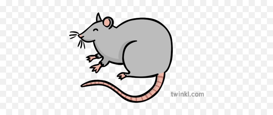 Fat Rat Illustration - Twinkl Boy Looking Out Window Draw Png,Rat Png