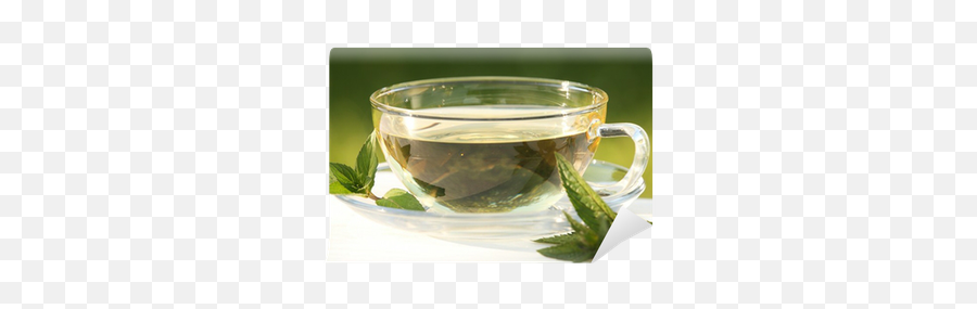 Mint Tea And Fresh Leaves Wall Mural U2022 Pixers - We Live To Change White Tea Png,Mint Leaves Png