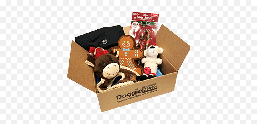 Doggie Box - Cardboard Box Png,Dog Toy Png