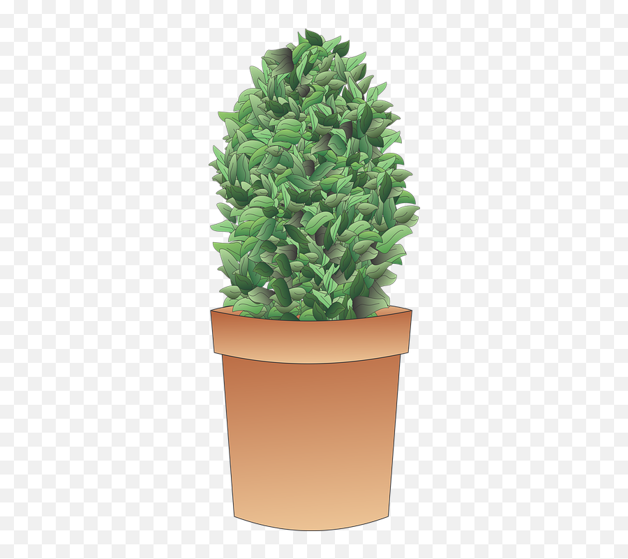 Shrub Bush Plant - Free Image On Pixabay Flowerpot Png,Shrub Transparent Background