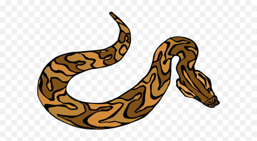 Png - Free Python Snake Clipart,Cartoon Snake Png - free transparent png  images 