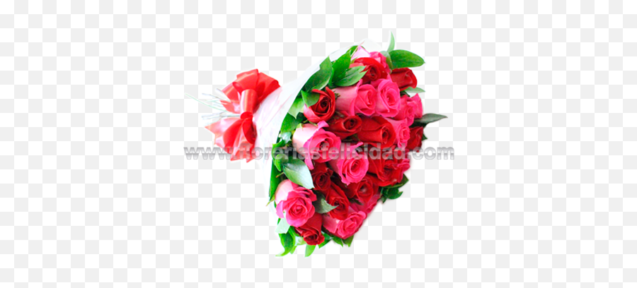 Ramo De 24 Rosas Rojas Y Fucsias - Lovely Png,Red Roses Png - free transparent png images - pngaaa.com