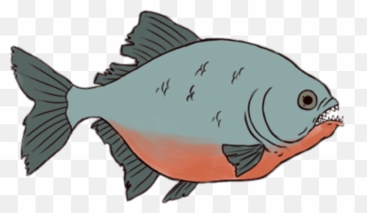 Piranha Drawing Transparent Png - Drawing Of A Piranha,Piranha Png