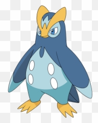What Starter Should I Pick For Pokemon - Pokemon Prinplup Png,Piplup Png