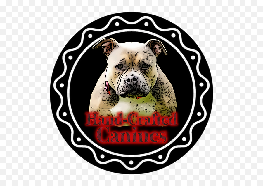 American Bully - White English Bulldog Png,American Bully Logo