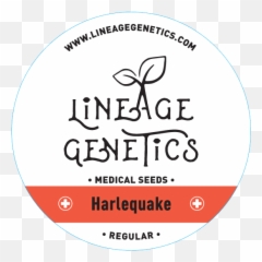 Cannabis Seeds For Growing - Buy Online Lineage Genetics Language png