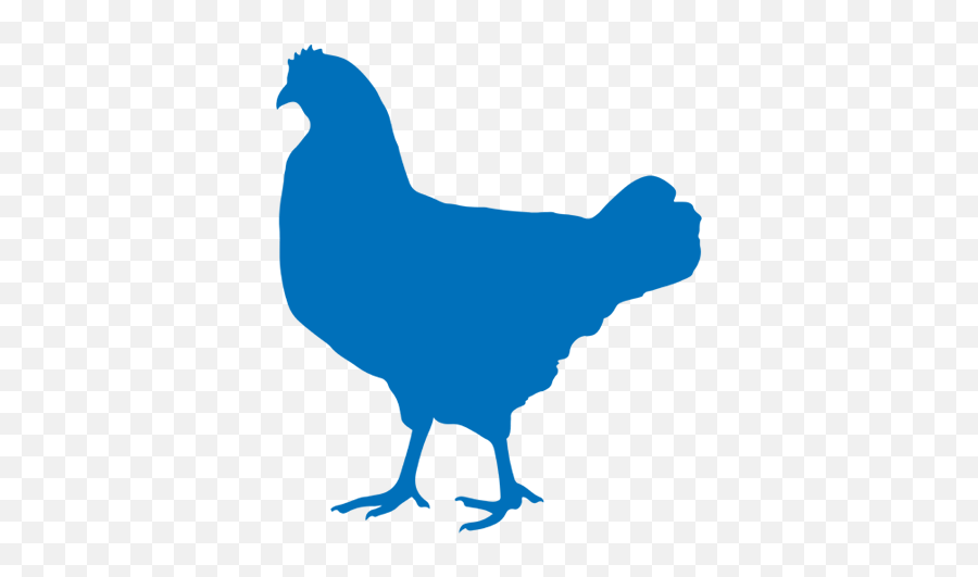 Poultry Processing Machines - Chicken Turkey Duck Chicken Png,Chicken Icon