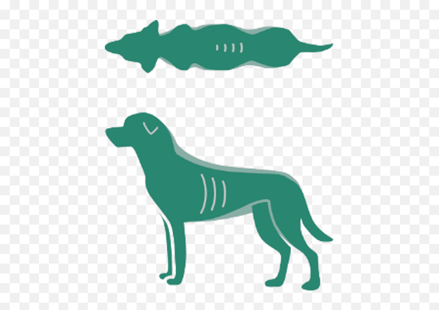 Calorie Calculator U2013 Vetu0027s Kitchen - Ancient Dog Breeds Png,Free Dog Icon