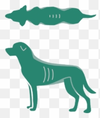 Calorie Calculator U2013 Vetu0027s Kitchen - Ancient Dog Breeds Png,Free Dog Icon