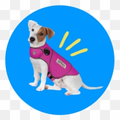 Best Dog Apparel Top - Rated Clothing Jackets Dresses Clothes png