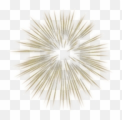 Download Hd Fireworks Transparent Gold - Fireworks Transparent Png,Gold Fireworks Png