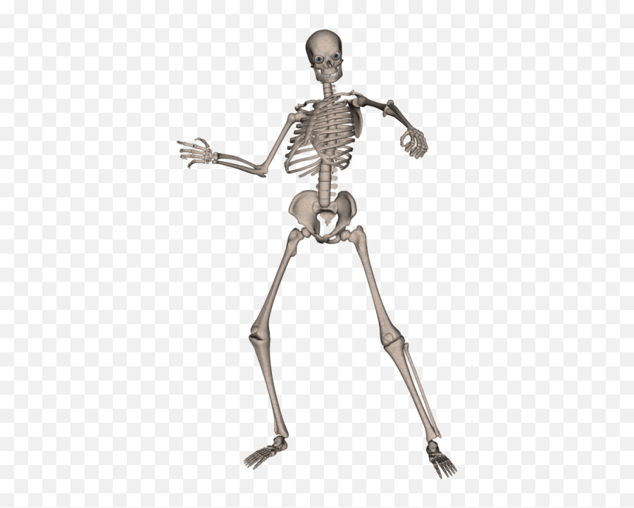 Sptc38 Skeleton Png Transparent Clipart Big Pictures Hd - Skeletons Png,Bone Transparent Background