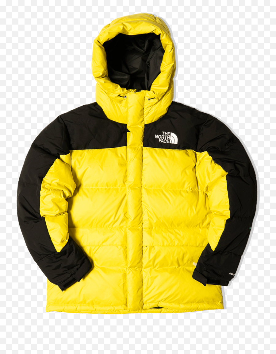 The North Face 1994 Retro Himalayan Futurelight Parka Png Icon Daytona Leather Jacket