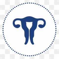 Candibactin Ar U2013 My Dna Choices - Plate Mf165 Friction Disc png