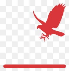 Bird Removal - Silueta De Halcón png