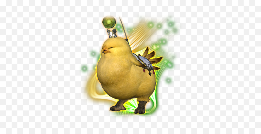 Icons - Xivapi Png,Chocobo Icon