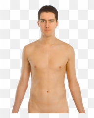 Wallpapers V Png Torso