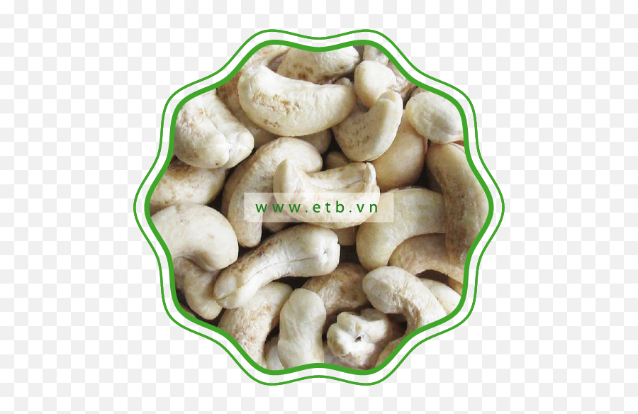 Dw Cashew Kernels U2013 Etb - Hattusas Png,Cashew Png