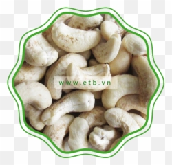 Dw Cashew Kernels U2013 Etb - Hattusas Png,Cashew Png